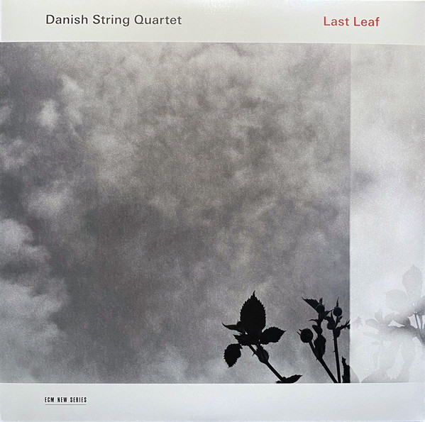 Last Leaf (ECM)