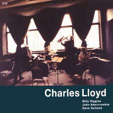 Voice In The Night (ECM)