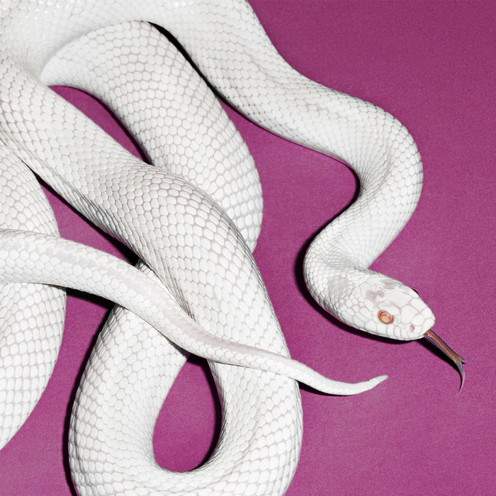 Private Music (Indie Exclusive) (Limited) (Fog Color Vinyl) (Alternate Cover)