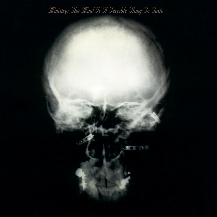 The Mind Is A Terrible Thing To Taste (Expanded) (Rocktober) (Limited) (180g)