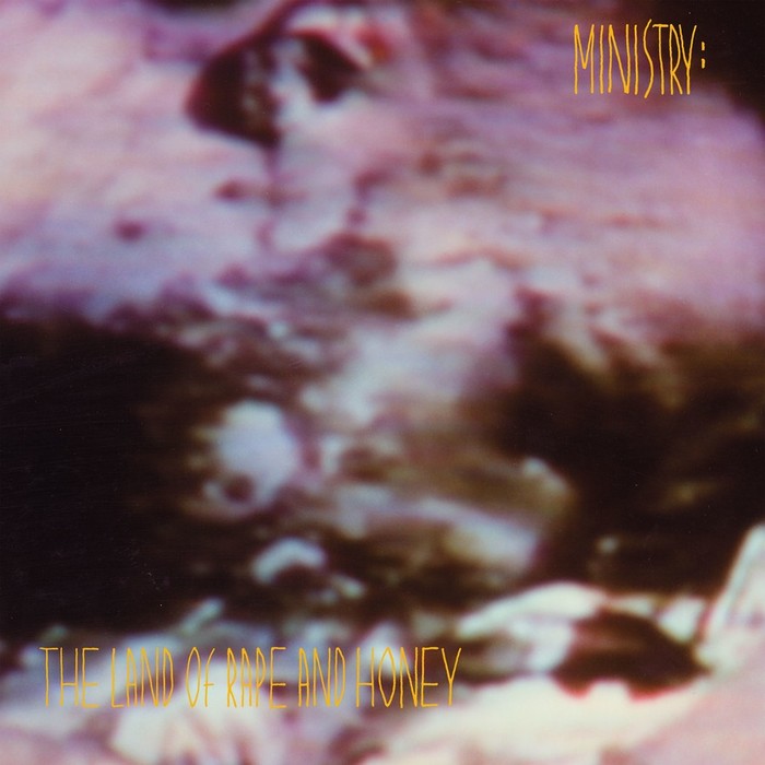 Land Of Rape And Honey (Deluxe) (Rocktober) (Limited) (180g)