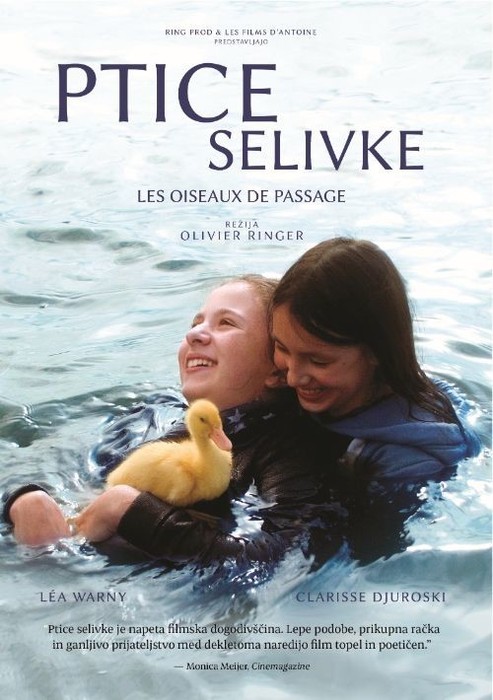 Ptice Selivke