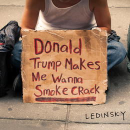 Nove_skladbe/DonaldTrumpMakesMeWannaSmokeCrack