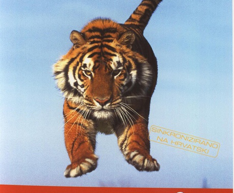 Matjaž Jelen s svojim videospotom