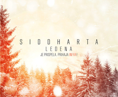 Siddharta