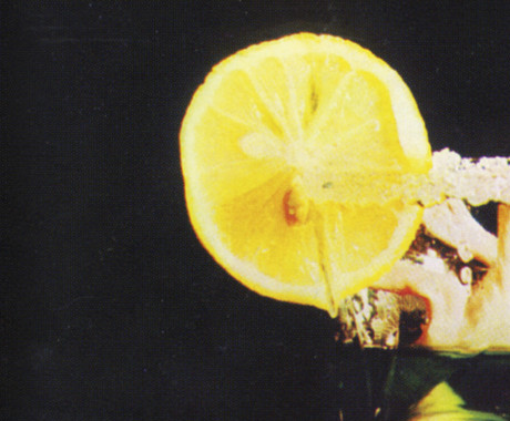 Marko Brecelj s Cocktailom in Samospevi