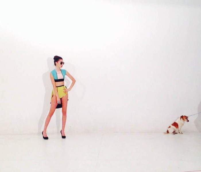 Obvestila/Zala_video_3