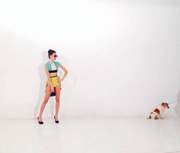 Obvestila/Zala_video_3