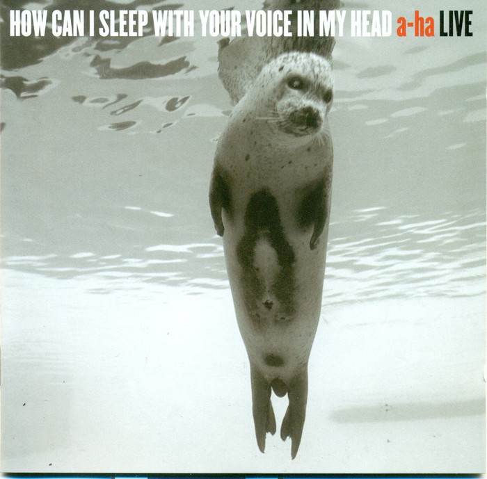 How Can I Sleep With Your Voice In My Head A-ha Live