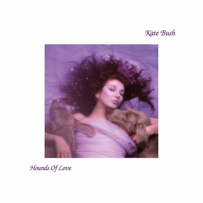 Hounds of Love (Remaster)