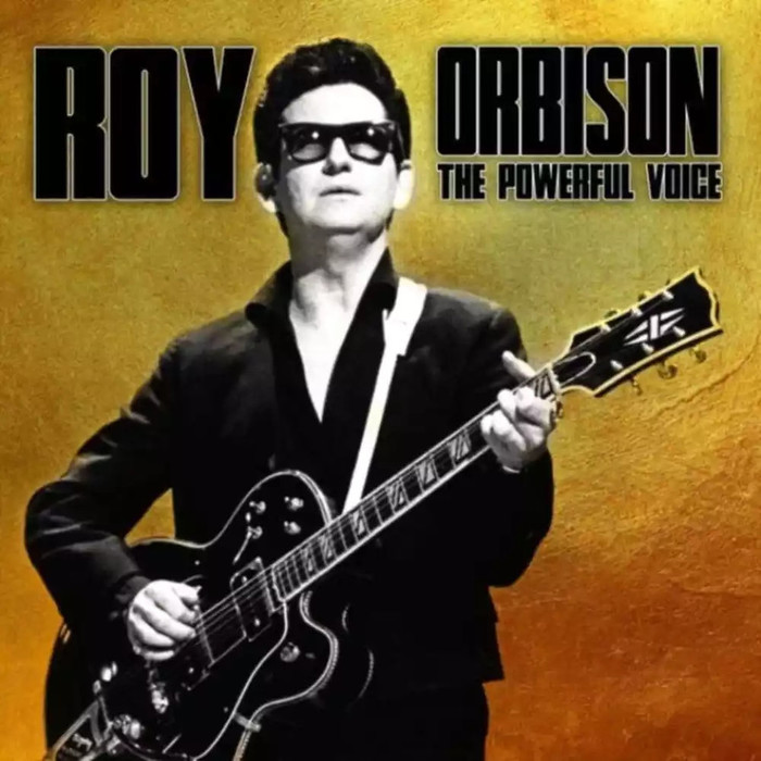 The Powerful Voice (180g)
