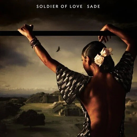 Soldier Of Love (Remastered) (Half Speed Master) (180g)