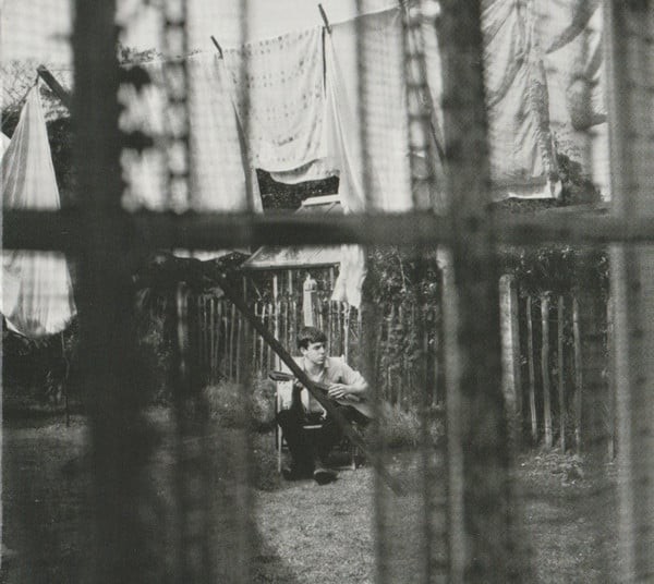 Chaos And Creation In The Backyard Mintpack