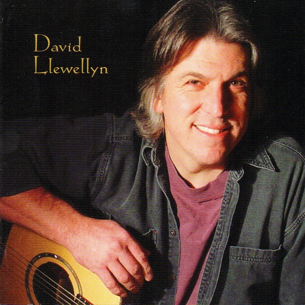 David Llewellyn