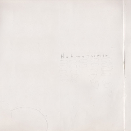 Hahmotelmia