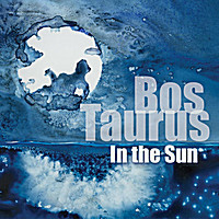 In The Sun