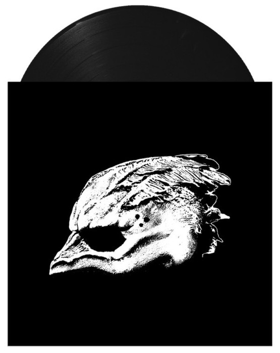 Legend Of The Seagullmen