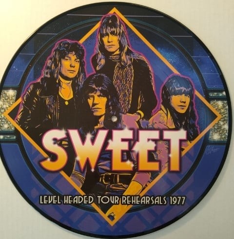 Level Headed Tour Rehearsals 1977 (picture Disc)