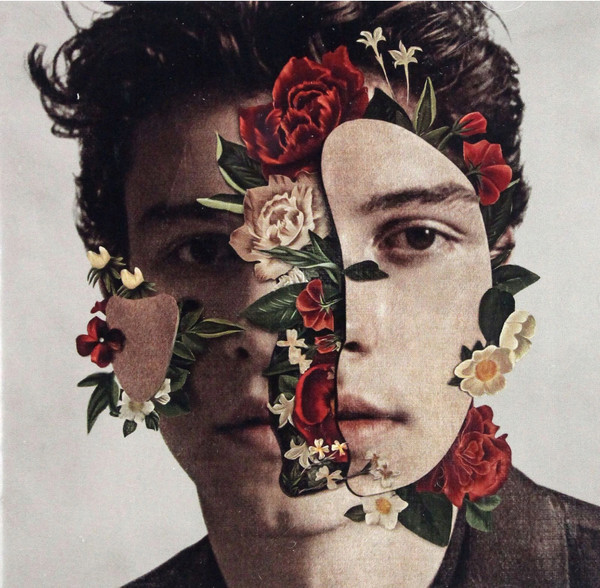Shawn Mendes