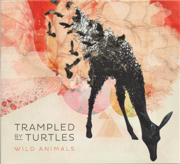 Wild Animals