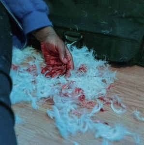 You Ruined Me: Senior Year Dear Lemon House