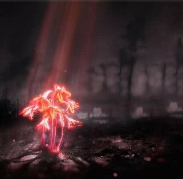 A Kiss For The Whole World (Sunset Coloured) (Limited)