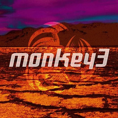 Monkey 3