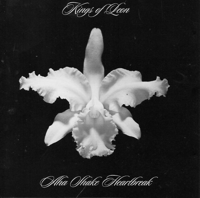 Aha Shake Heartbreak