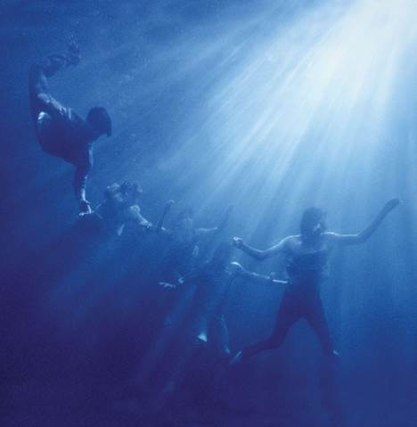 Total Life Forever (Limited) (Blue Vinyl)