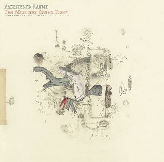 The Midnight Organ Fight