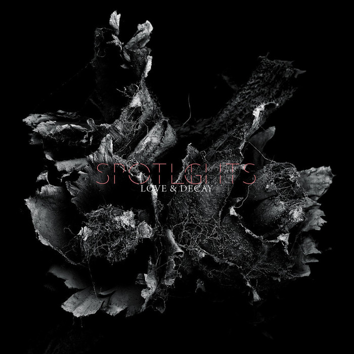 Love &amp; Decay
