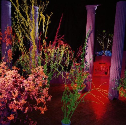 Warehouse Songs &amp; Stories