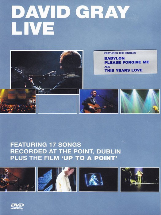 David Gray Live
