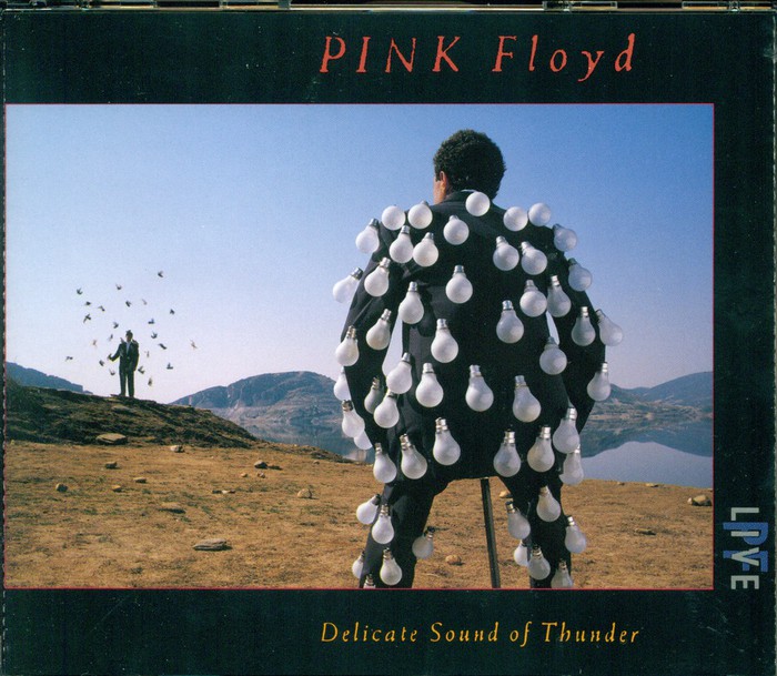 Delicate Sound of Thunder