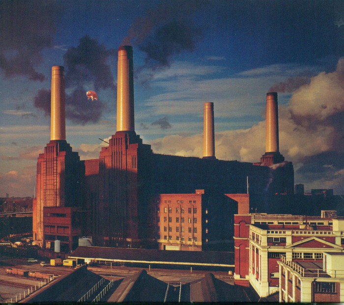 Animals (Remaster)
