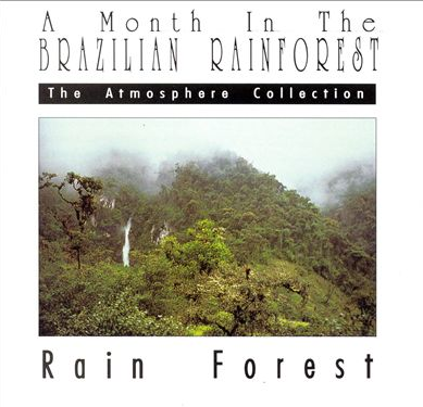 Rain Forest