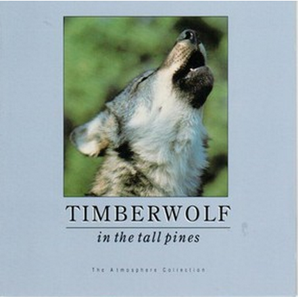 Timberwolf In The Tall Pines