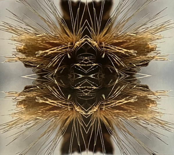 Sutra
