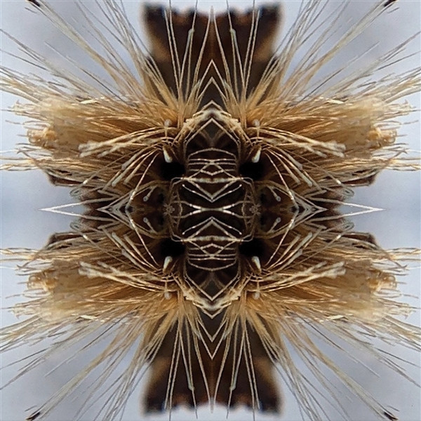Sutra