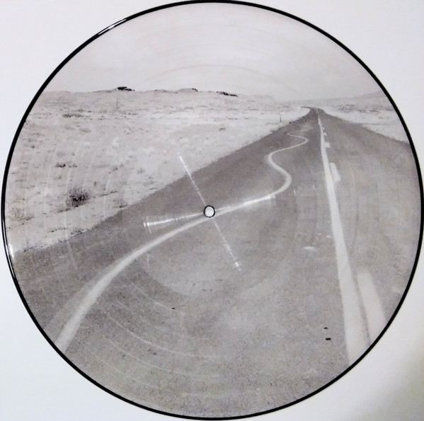 Critical Thinking (Limited) (Picture Disc)