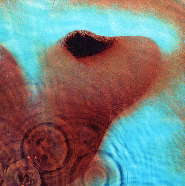 Meddle (Remastered) (180g)